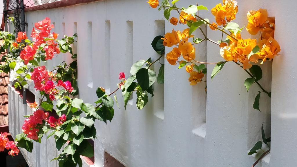 Desitha Family House Mirissa Exterior foto